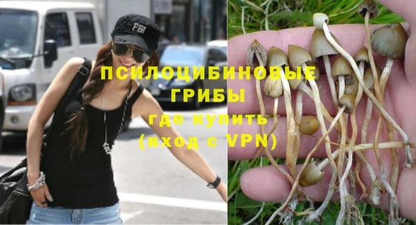 МДПВ Пролетарск